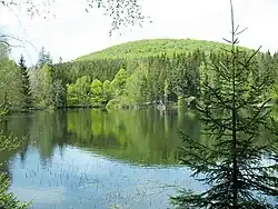 Pohled na Střední vrch od Hraničního rybníka