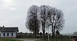 Pohled na ohnišťanský hřbitov z hlavní přístupové cesty od obce