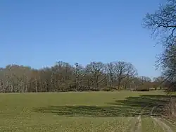 Vnější strana dochované části valu