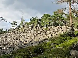 Skalní hřbet v PP Hřebenec