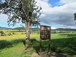 Tabule a strom s maskou na stezce, v pozadí Měrunice