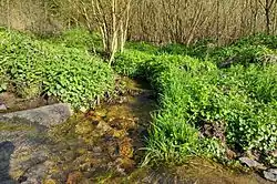 Mezi Hruškovou a Starým Sedlem