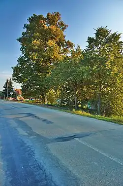 Hrubá lípa Jedovnice