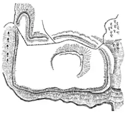 Hryzely - půdorys (J. E. Vocel, 1866–1868).png