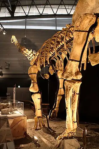 alternativní popis obrázku chybí