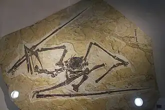 alternativní popis obrázku chybí