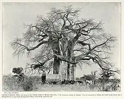 Tento snímek je součástí fotografické sbírky Colonial Office v Národním archivu, nahrané v rámci projektu Africa Through a Lens.