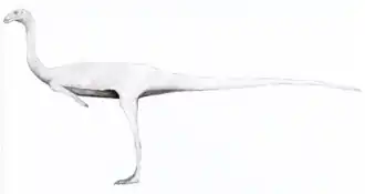 popis obrázku chybí