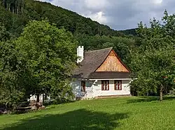 Hukvaldy - dřevěnka če. 113 (stav červenec 2024) (9).jpg