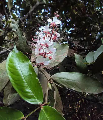 alternativní popis obrázku chybí