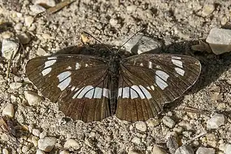 alternativní popis obrázku chybí