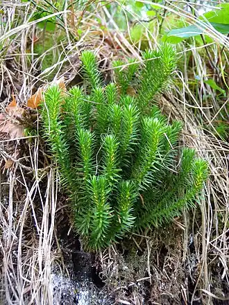 alternativní popis obrázku chybí