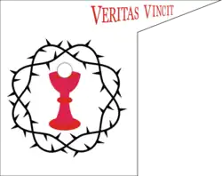 Korouhev táborské polní obce v hypotetických barvách