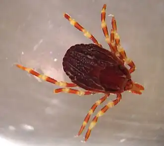 alternativní popis obrázku chybí