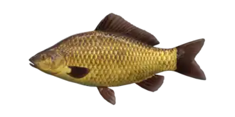 alternativní popis obrázku chybí