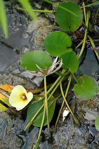 alternativní popis obrázku chybí