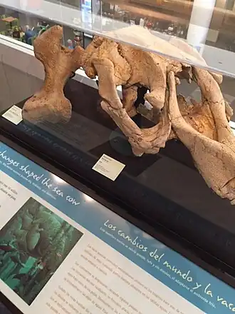 alternativní popis obrázku chybí