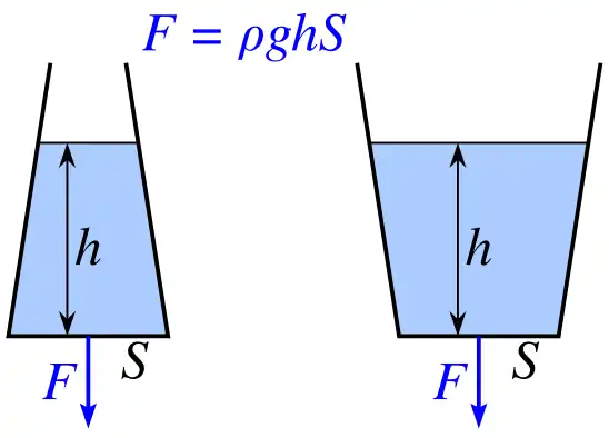 Hydrostatický paradox