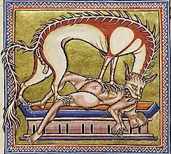 Folio 11 Verso: Hyena