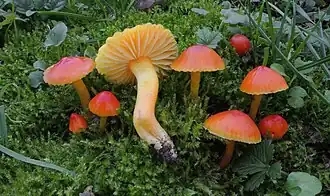 alternativní popis obrázku chybí