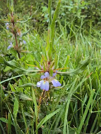 alternativní popis obrázku chybí