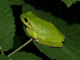 alternativní popis obrázku chybí