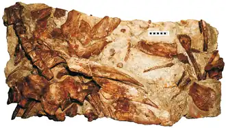 alternativní popis obrázku chybí