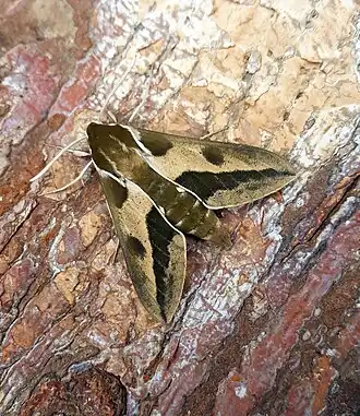 alternativní popis obrázku chybí