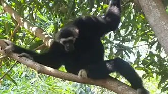 alternativní popis obrázku chybí