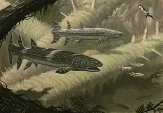 alternativní popis obrázku chybí