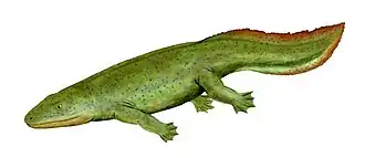 popis obrázku chybí