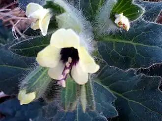 alternativní popis obrázku chybí