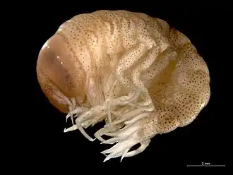 alternativní popis obrázku chybí