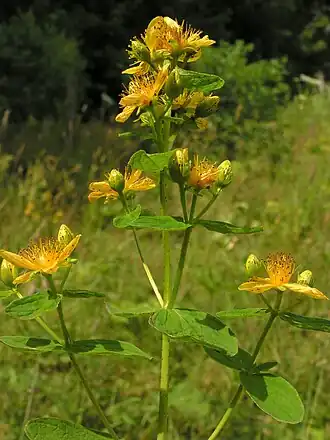 alternativní popis obrázku chybí