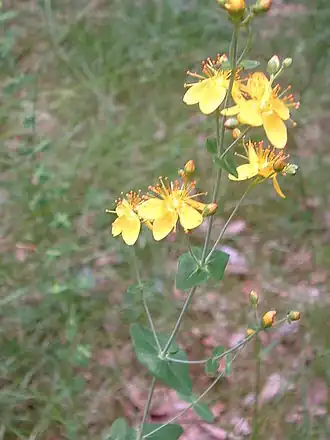 alternativní popis obrázku chybí