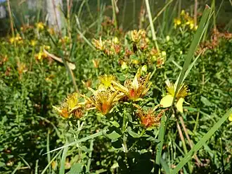 alternativní popis obrázku chybí