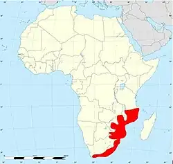 Rozšíření rákosničky mramorované v Africe (červeně)