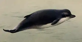 alternativní popis obrázku chybí