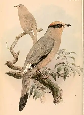 alternativní popis obrázku chybí