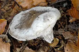 alternativní popis obrázku chybí