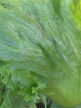 alternativní popis obrázku chybí