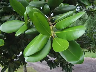 alternativní popis obrázku chybí