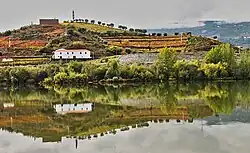 Vinařská oblast Alto Douro