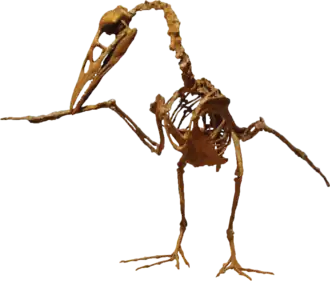 alternativní popis obrázku chybí