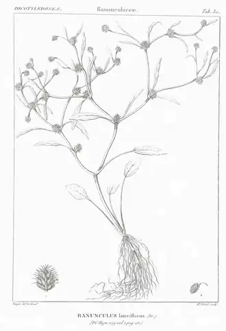 popis obrázku chybí