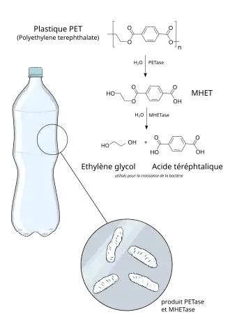 popis obrázku chybí