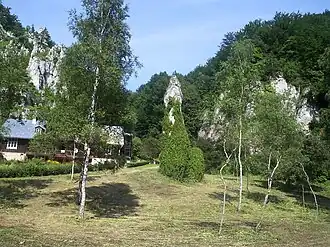 alternativní popis obrázku chybí