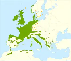 Areál rozšíření