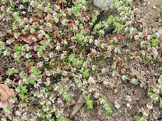 alternativní popis obrázku chybí