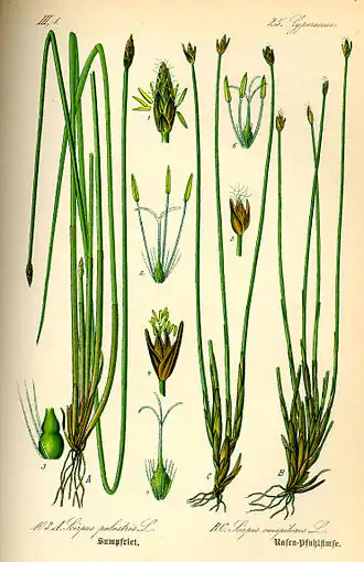 alternativní popis obrázku chybí